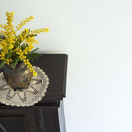 La Villa Nei Fiori Firenze Eksteriør bilde