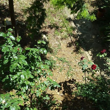 La Villa Nei Fiori Firenze Eksteriør bilde